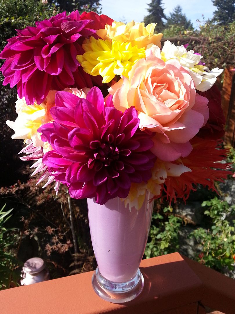  photo 20141003_112531_zpswygs8ylr.jpg